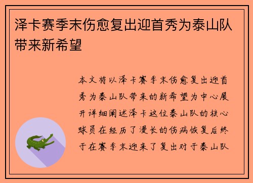 泽卡赛季末伤愈复出迎首秀为泰山队带来新希望