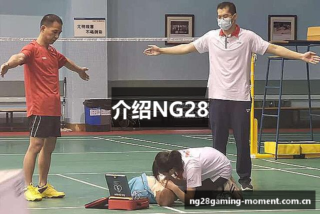介绍NG28
